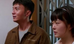 张俪新电视剧,都市女性成长记