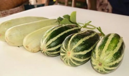 网红吃瓜爆料红网,揭秘红网背后惊人内幕